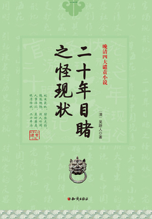 二十年目睹之怪現(xiàn)狀