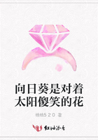 向日葵是對著太陽傻笑的花在線閱讀