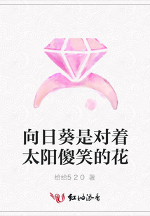 向日葵是对着太阳傻笑的花