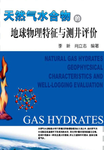 天然氣水合物的地球物理特征與測井評價