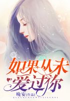 如果從未愛過你在線閱讀