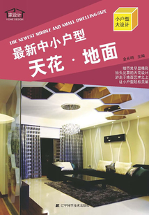 最新中小戶型：天花·地面