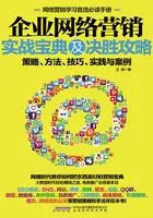 企业网络营销实战宝典及决胜攻略在线阅读