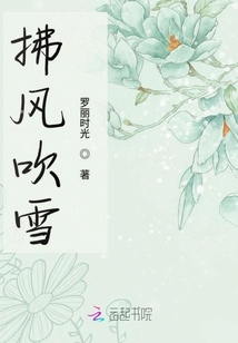 拂風吹雪