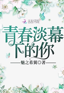 青春淡幕下的你