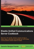Elastix Unified Communications Server Cookbook在线阅读