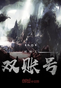 網游之雙賬號