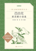 百合花：茹志鹃小说选在线阅读