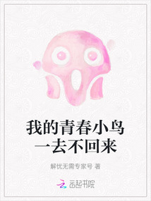 我的青春小鳥一去不回來
