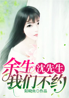 沈先生,余生我们不约在线阅读