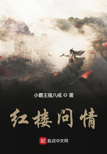 紅樓問情