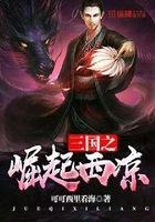 三國(guó)之崛起西涼在線閱讀