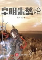 皇明朱慈炲在线阅读