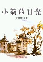 小莉的目光在線閱讀