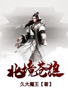 北境苍狼在线阅读