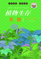 植物生存天地