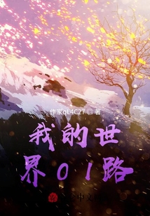 我的世界之南怪小說