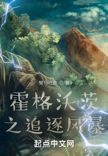 霍格沃茨之追逐風暴