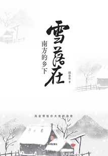 雪落在南方的鄉下