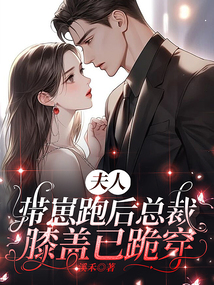 夫人,帶崽跑后總裁膝蓋已跪穿