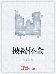 披褐懷金