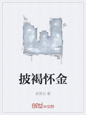 披褐怀金在线阅读