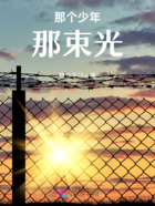 那个少年那束光在线阅读