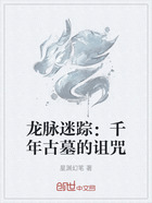 龙脉迷踪:千年古墓的诅咒在线阅读