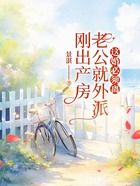 刚出产房老公就外派，这婚必须离在线阅读