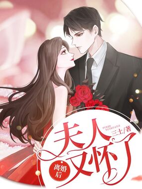 离婚后夫人又怀了在线阅读