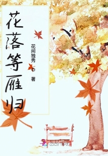 花落等雁归
