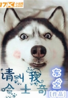 請叫我哈士奇在線閱讀
