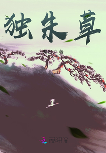 獨朱草