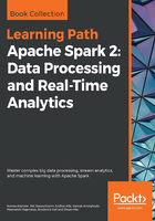 Apache Spark 2：Data Processing and Real-Time Analytics在线阅读