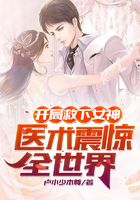 開局救下女神，醫(yī)術(shù)震驚全世界！在線閱讀