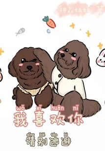 我喜歡你，請別逃避