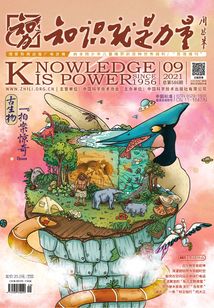 知識(shí)就是力量（2021年第9期）