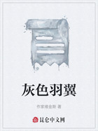 灰色羽翼在线阅读