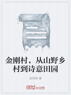 金刚村，从山野乡村到诗意田园在线阅读