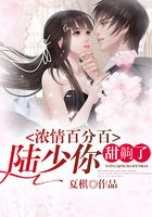濃情百分百：陸少你甜齁了在線閱讀