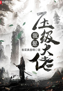 我是壓級(jí)大佬