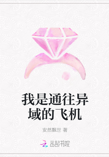 我是通往異域的飛機