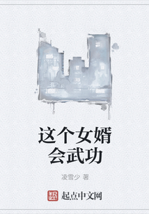 这个女婿会武功