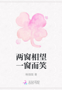 兩窗相望一窗而笑