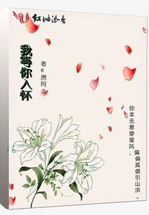 我等你入懷