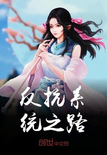 反抗系統(tǒng)之路