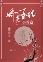 娇养王妃是首富在线阅读