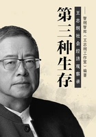 第三种生存:王志纲社会经济观察录在线阅读