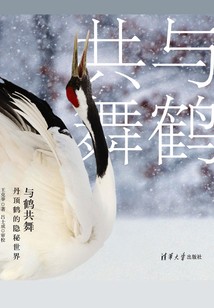 与鹤共舞：丹顶鹤的隐秘世界