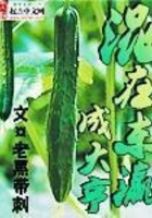 混在东瀛成大亨